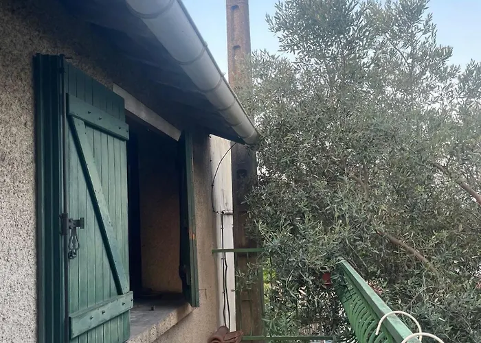 Belle En Bois Chez Antoine Séjour chez l'habitant Montpellier